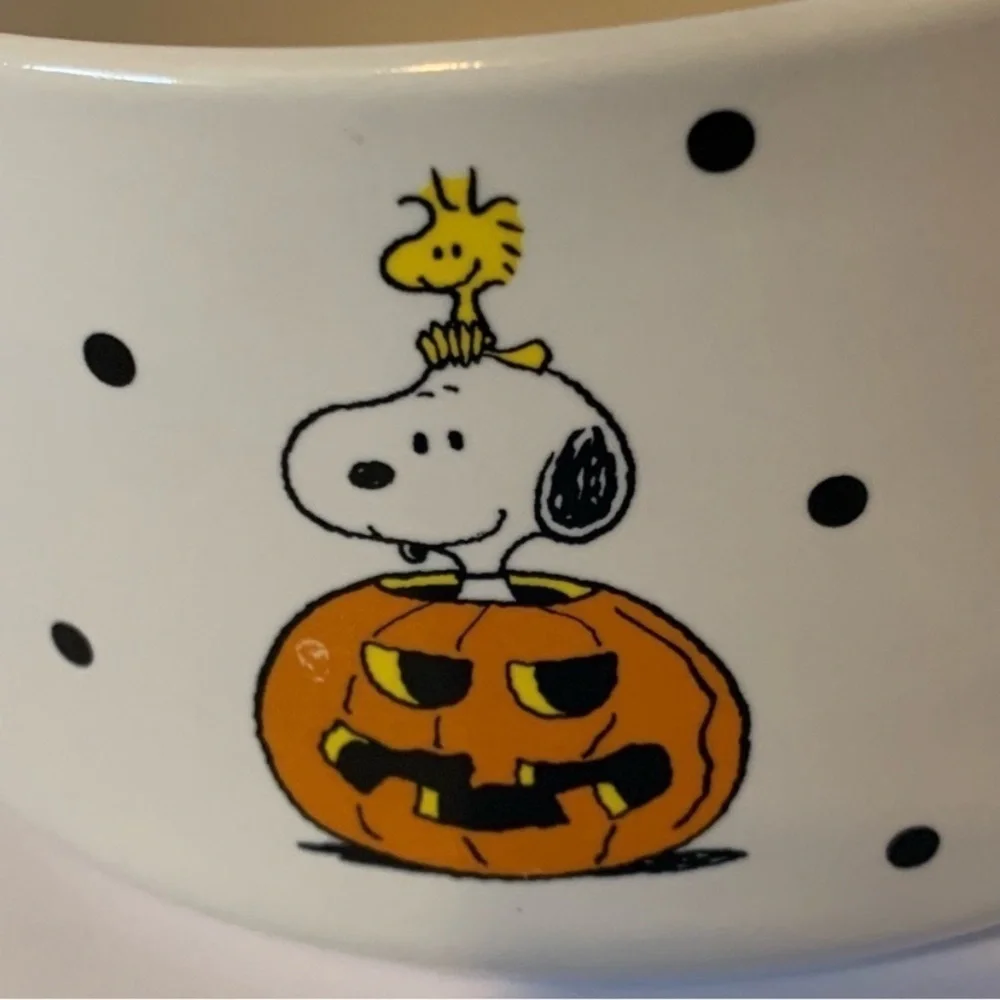 NWT. RAE DUNN X PEANUTS Halloween Dog Bowl with Snoopy and Woodstock